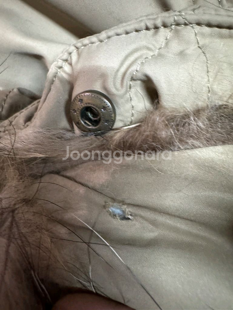 버버리브릿 구스 패딩 (66)--4