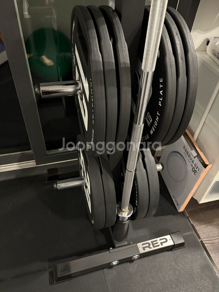 rep 캠버드스위스바, 랫풀직선바, 덤벨거치대 등--5