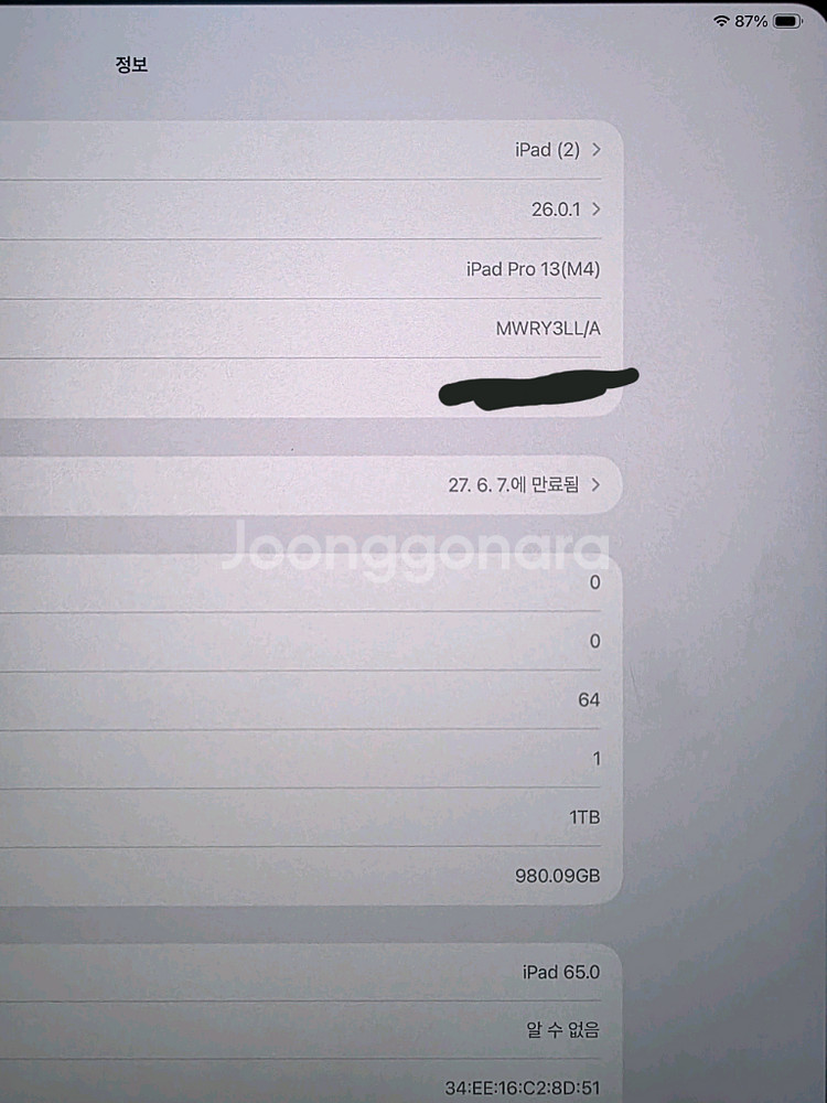 아이패드프로m4. 13인치. 1TB. 5g. 애케플--7