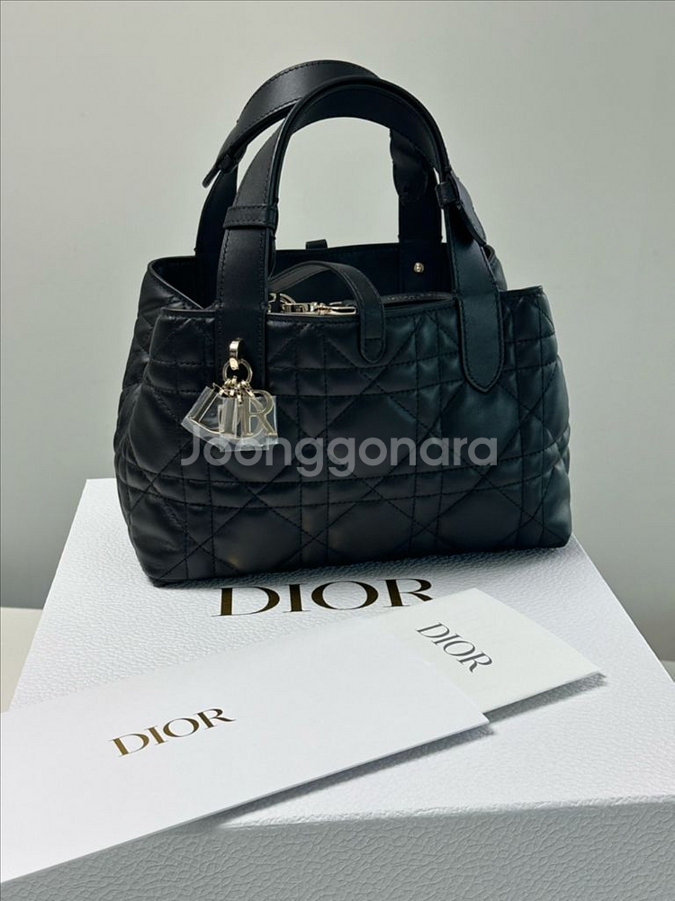 디올 뚜주흐 스몰 새상품--0