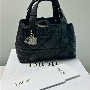 디올 뚜주흐 스몰 새상품