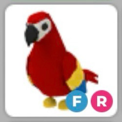 입양하세요 앵무새