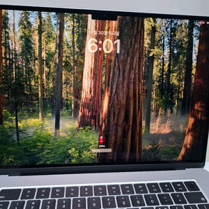 맥북에어 M3 15인치