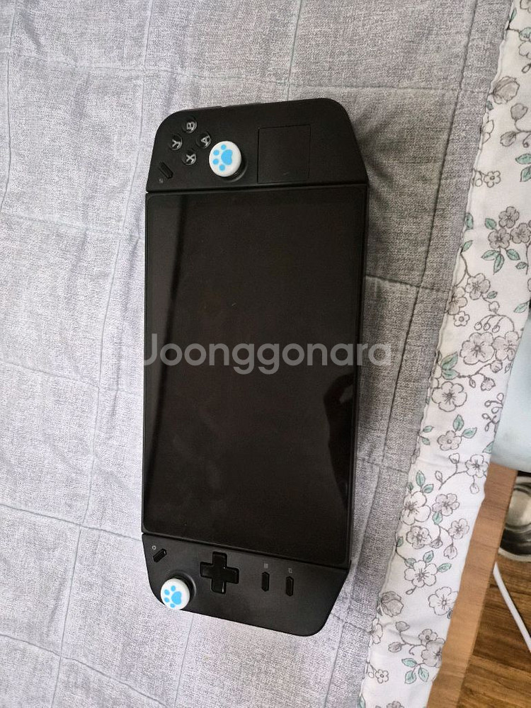 리전고 2tb + 3070 egpu--1