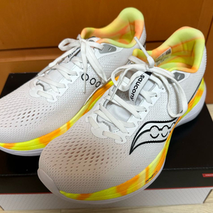 [270] 써코니 엔돌핀 트레이너