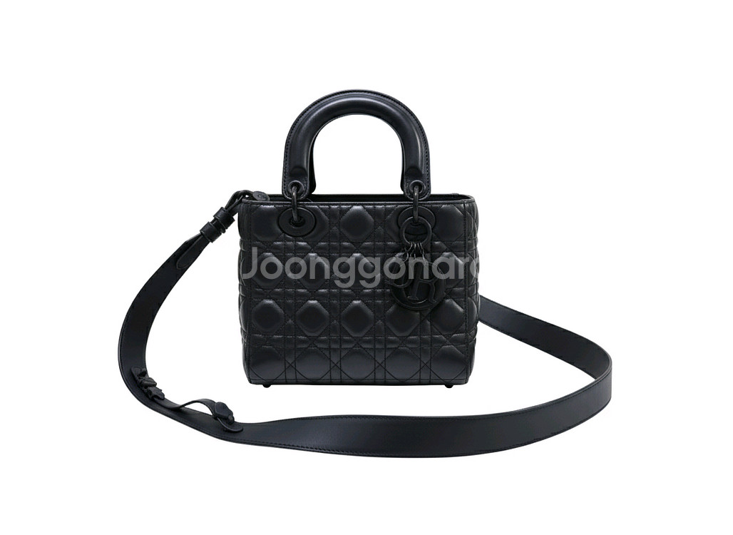디올 레이디백 블랙--0