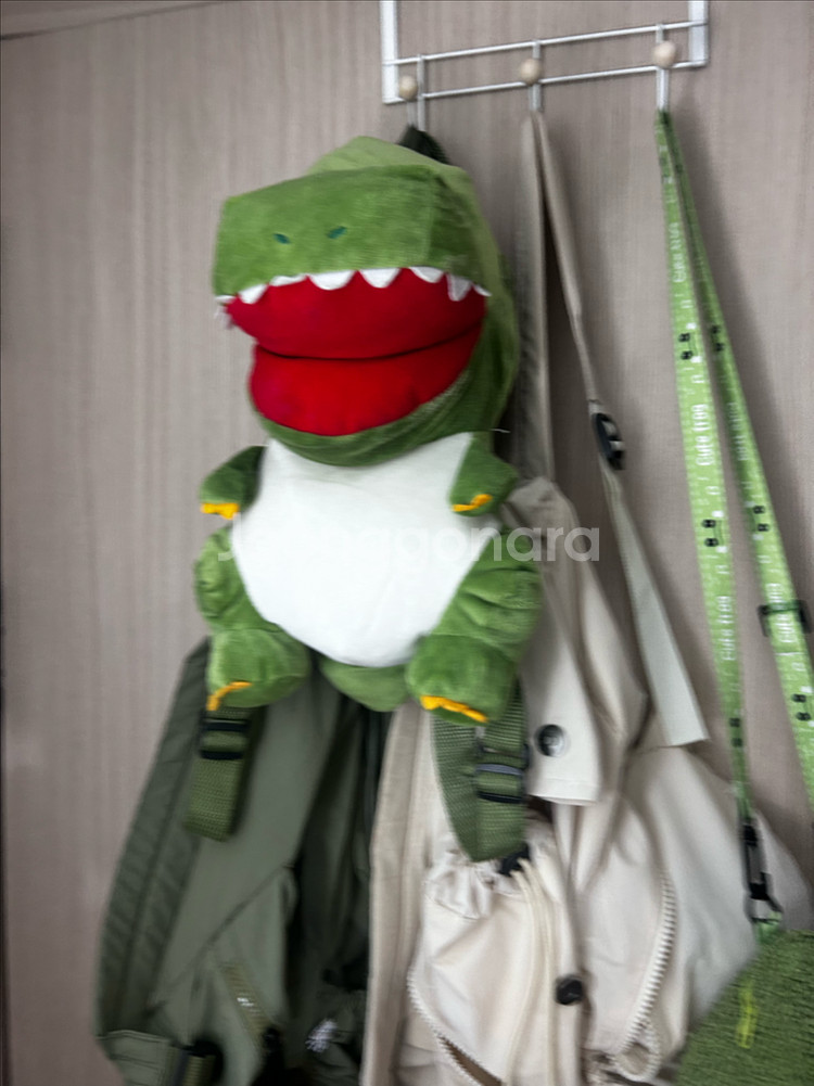 공룡 개구리 가방--0