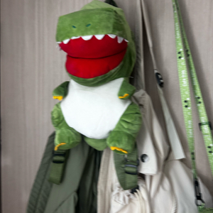 공룡 개구리 가방