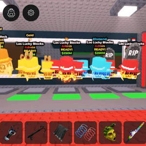 브레인롯즈 훔치기 럭블 15개