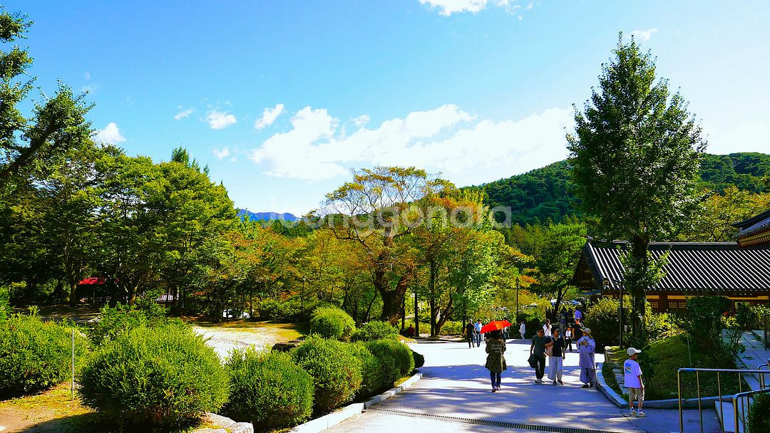 파나소닉 루믹스 LX100 카메라--8