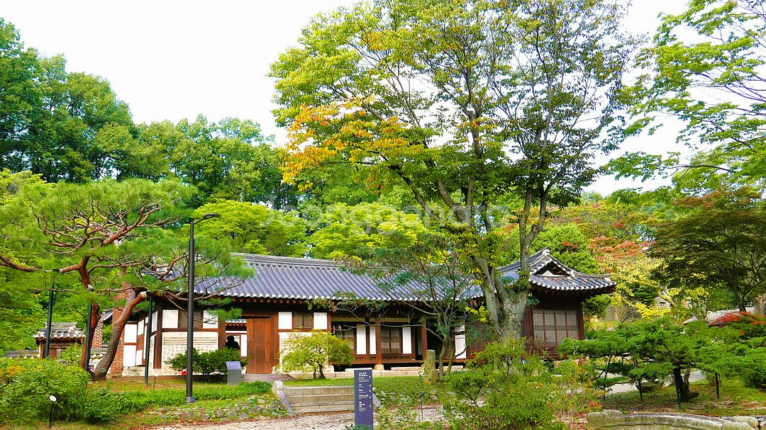 파나소닉 루믹스 LX100 카메라--9