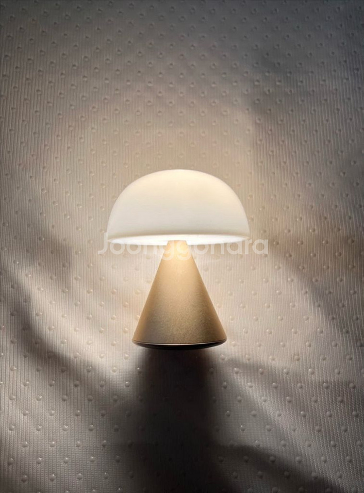 렉슨) 미나 스몰 무드등 소프트 골드--1