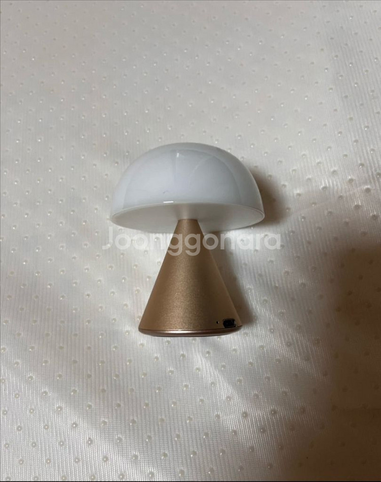 렉슨) 미나 스몰 무드등 소프트 골드--3