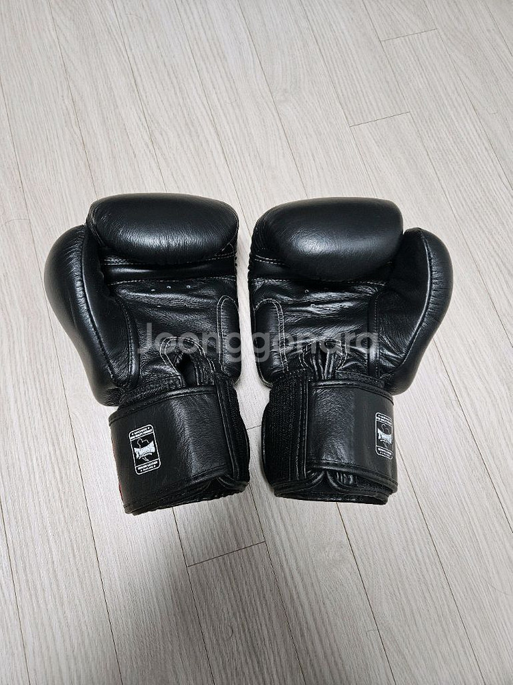 복싱글러브 12온스--1