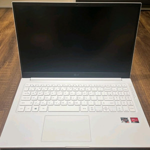 LG 울트라PC 15UD40Q-GX30K