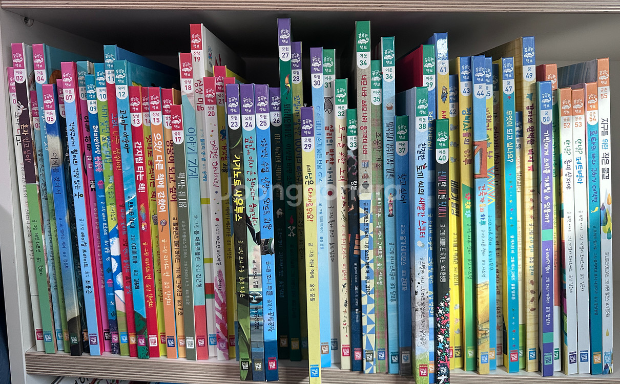 꿈꾸는 책보 캐멜레온 그림책 세트--0