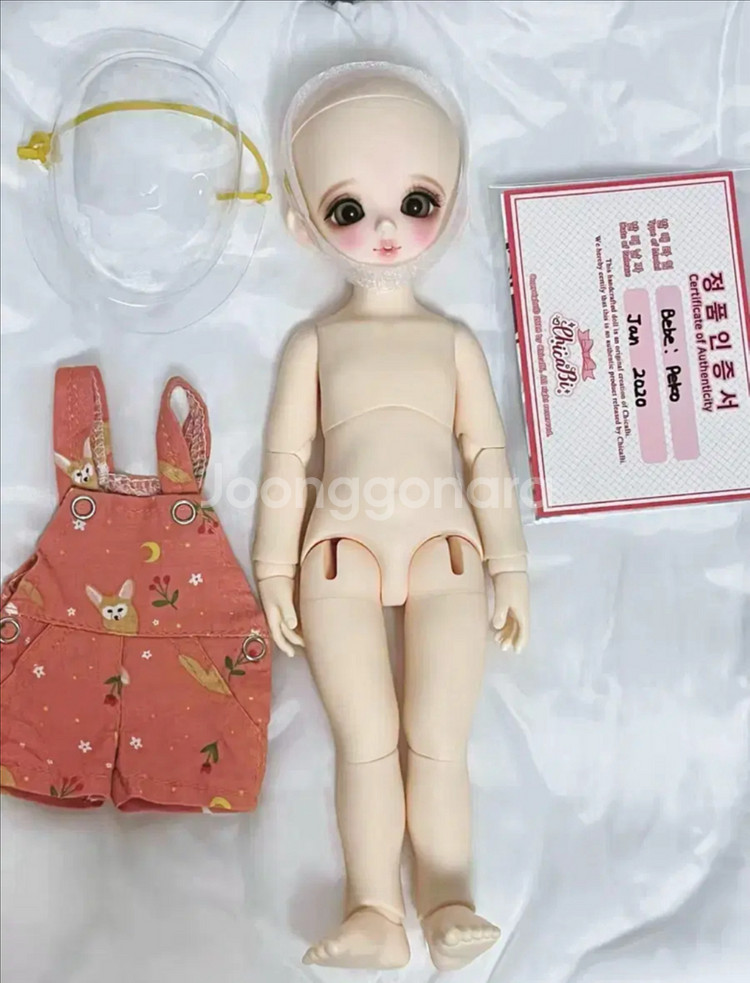 상태좋음!!!) 치카비 노멀 페코 판매 양도 합니다--0