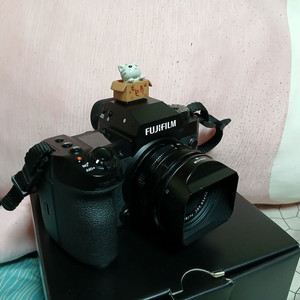 미러리스 카메라