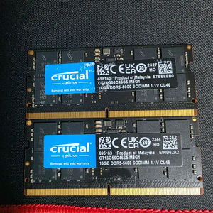 크루셜 메모리 램 DDR5 5600 16GB 2장