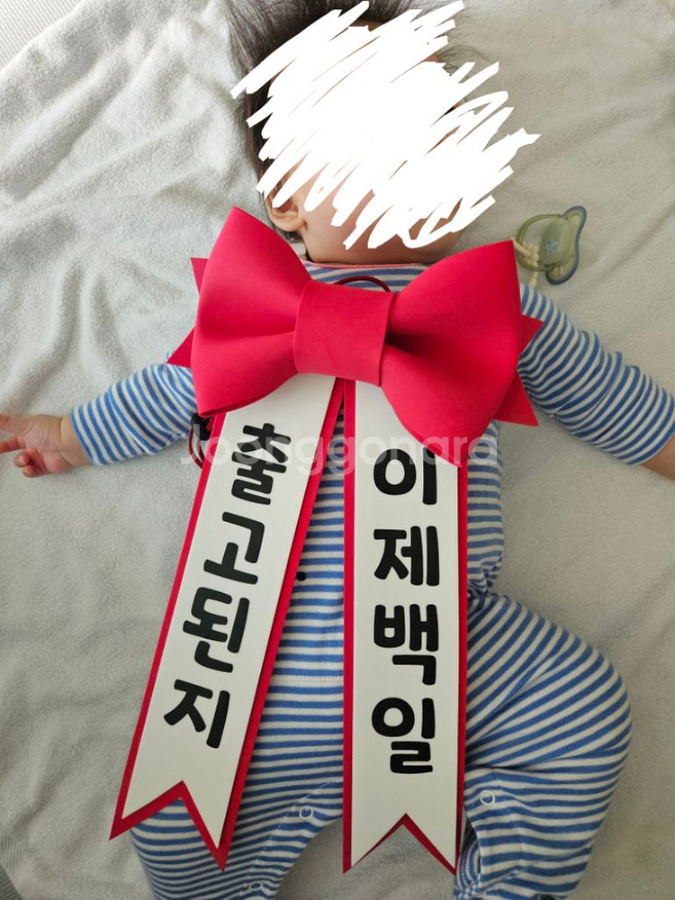 아기 화환 백일 축하띠--0