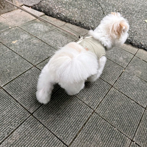 폴드7 블루색상 512G 아이폰17프로 교환원해요