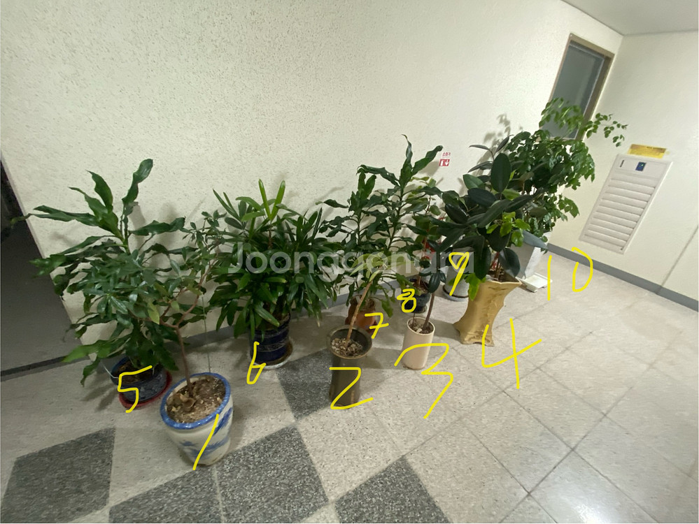 식물 10종 세트--0