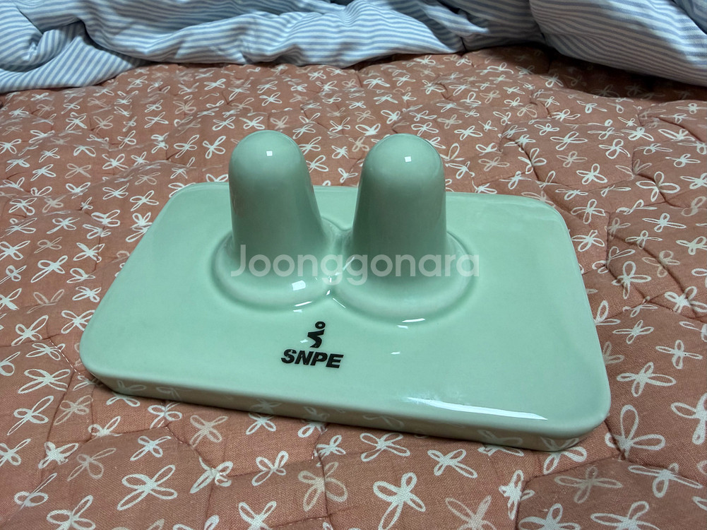 snpe 도자기 다나손--0