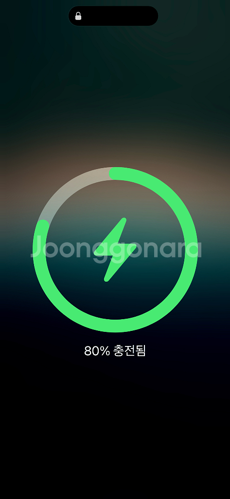 벨킨 3in1 MFM인증 맥세이프 충전기 wiz009--5