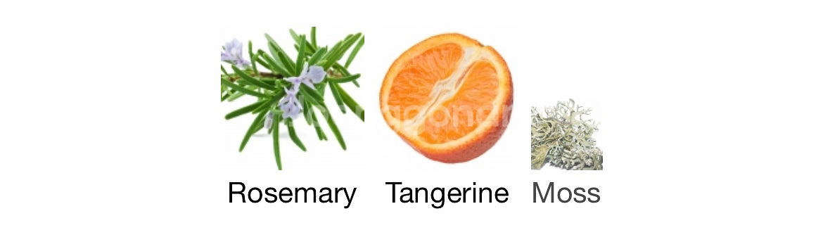 펜디 프리마 테라 100ml--3