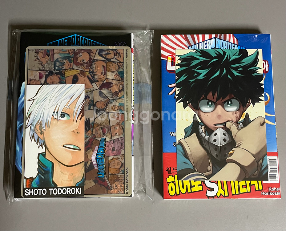 나의 히어로 아카데미아 만화책 히로아카 나히아 특전--0