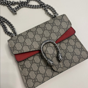 구찌 디오니소스 미니