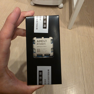 AMD 라이젠9 9900X CPU