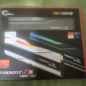 G.SKILL DDR5-6000 CL26 TRIDENT Z5 NEO RGB H 패키지
