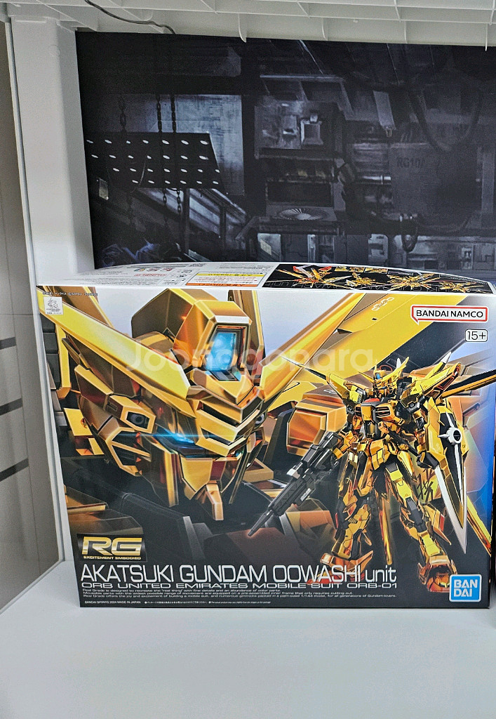 시드프리덤 HG,RG 팝니다--2