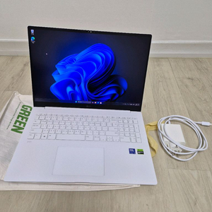 그램프로 17인치 외장 RTX3050 팝니다.창원.김해