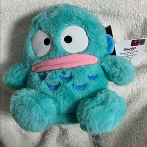 산리오 한교동 인형 이미지