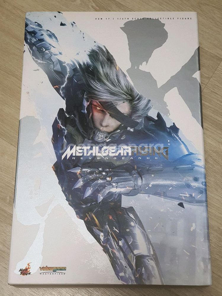 핫토이 라이덴--0