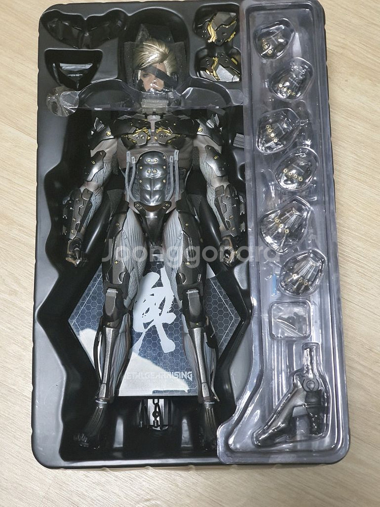 핫토이 라이덴--1