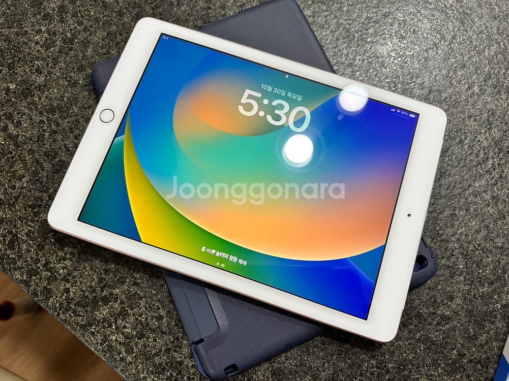 아이패드 에어 2세대 16GB + 케이스--0