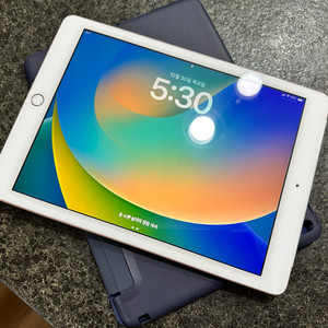 아이패드 에어 2세대 16GB + 케이스