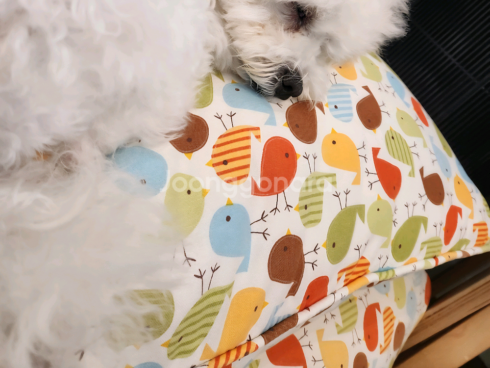 강아지용 고급 쿠션--0