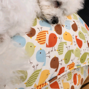 강아지용 고급 쿠션