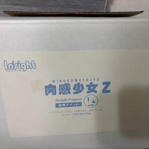 인사이트 네이티브 피규어