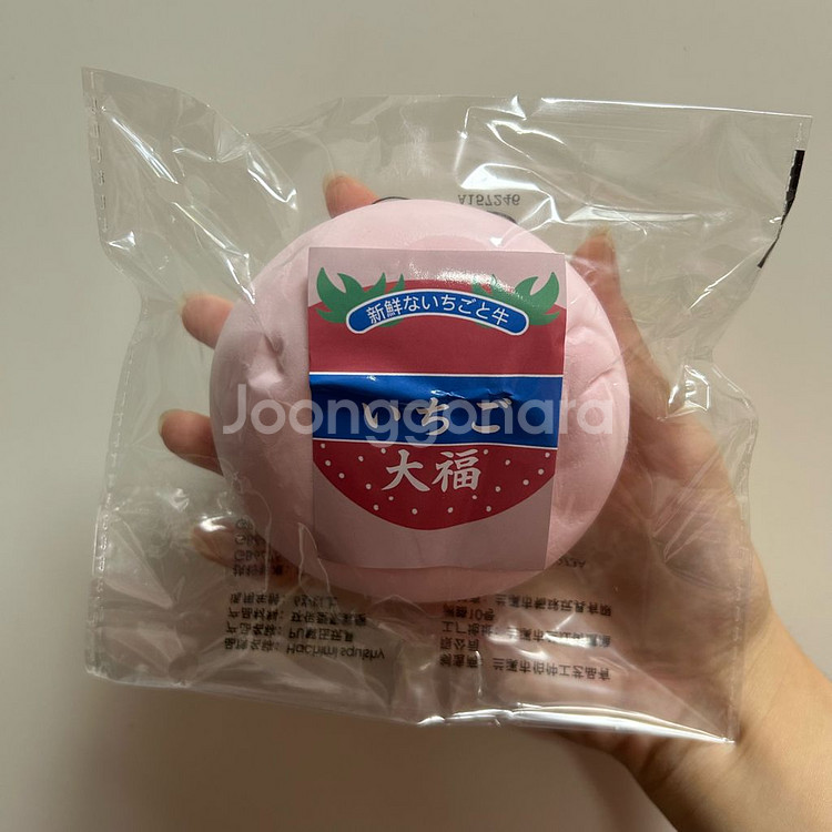 스퀴시 판매 (모음)--3