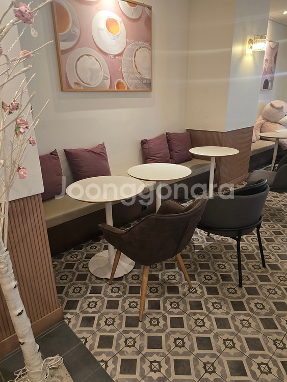 라운지의자,안락의자,카페의자--1