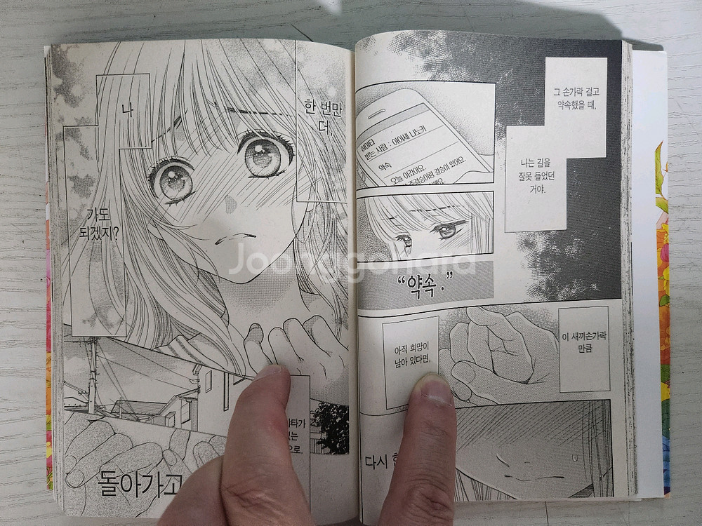 [순정만화책] 나노카의 그이 총 12권 판매 - 상태상--5