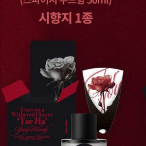 시든 꽃에 눈물을 태하 향수