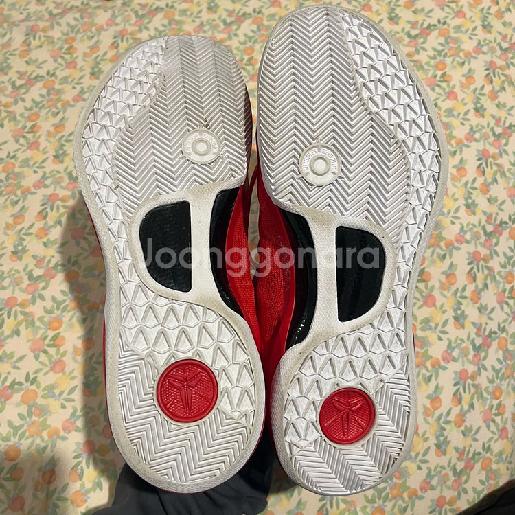 나이키 코비8 프로트로 270 판매합니다--2