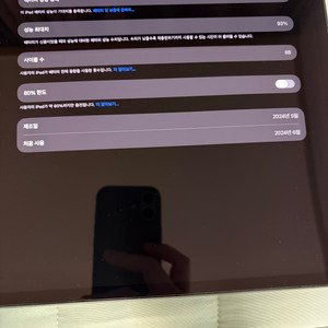 아이패드 프로 13(M4) 256, 셀룰러