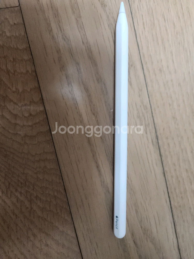 애플펜슬 2세대--1
